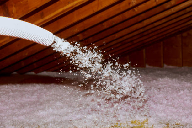 Best Insulation Contractors for Homes  in Dayton, OH