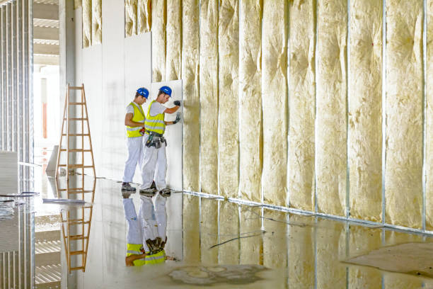 Best Local Insulation Services  in Dayton, OH